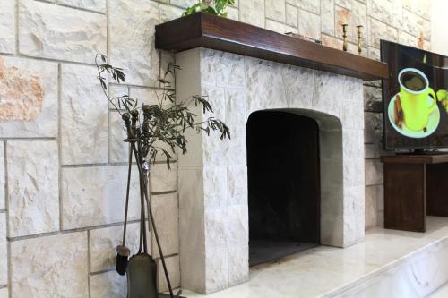 a stone fireplace in a living room with a plant at Villa Bice in Pulsano