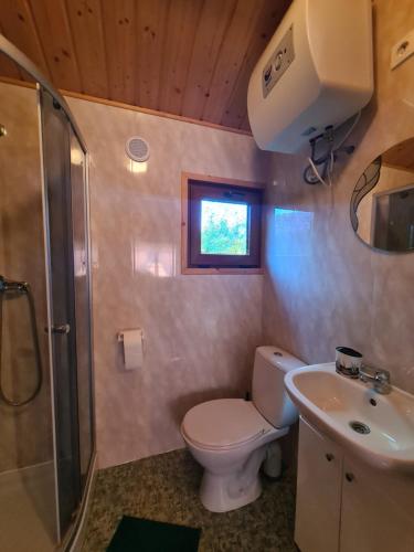 La salle de bains est pourvue de toilettes, d'une douche et d'un lavabo. dans l'établissement Domki letniskowe Zacisze, à Rusinowo