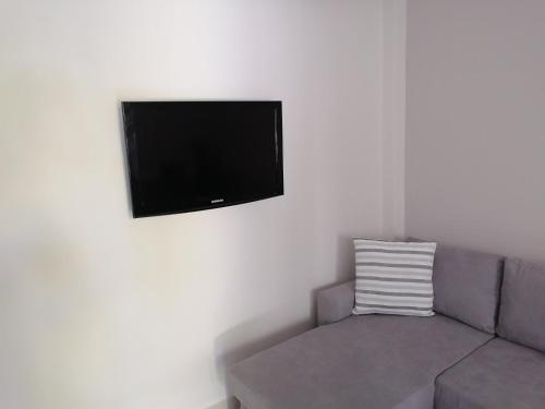 TV a/nebo společenská místnost v ubytování Nicole Apartment