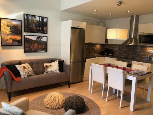 Кухня или мини-кухня в Castillo Kelotähti Apartment
