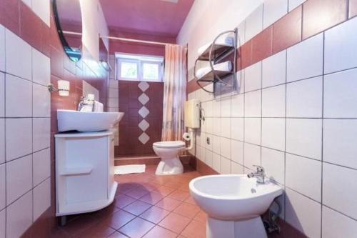ein Bad mit einem Waschbecken und einem WC in der Unterkunft Holiday house in Pakoštane with sea view, terrace, air conditioning, Wi-Fi (3475-1) in Pakoštane