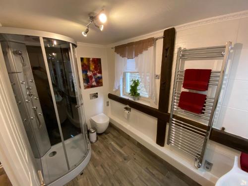 a bathroom with a shower and a toilet at Appartement Schlossberg, Gasthaus Hirsch in Hirschhorn