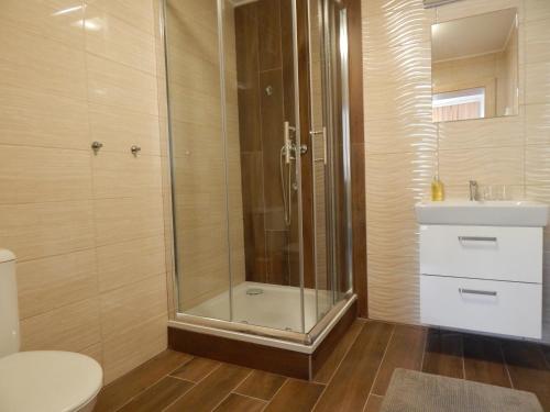 y baño con ducha, aseo y lavamanos. en Apartmány Vila Juraj, en Trenčianske Teplice