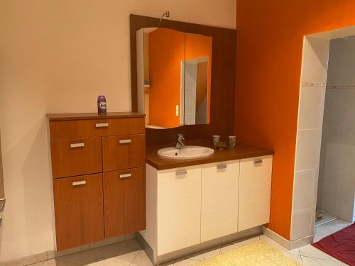 a bathroom with a sink and a mirror at Chez Marilou in Saint-Dizier