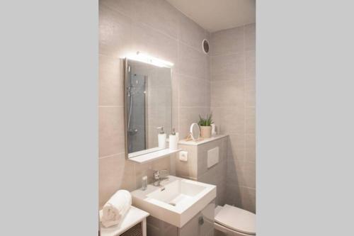 une salle de bain avec un lavabo, des toilettes et un miroir dans l'établissement LA PEPITE D'ANNECY - hyper centre & au calme & balcon, à Annecy