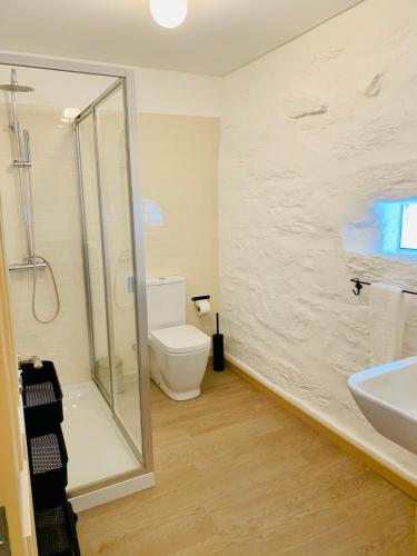 a bathroom with a shower and a toilet and a sink at Terraços do Távora in Tabuaço