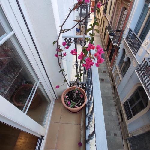 Málaga Centro