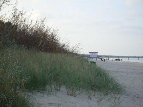 einen Strand mit hoher Wiese und einem Pier im Hintergrund in der Unterkunft Zinnowitz Haus Isabella Wohnung 8 W8IZ in Zinnowitz