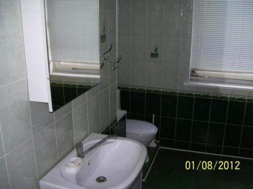 a green tiled bathroom with a sink and a toilet at Pirtis Prie Neries Jonava in Jonava