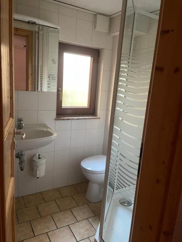 een badkamer met toilet en wastafel bij Ferienhaus Schmidt in Rathmannsdorf