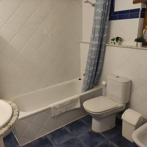 a bathroom with a toilet and a bath tub at El Mirador de Sorribes in Sevares