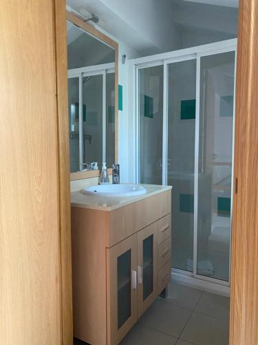 a bathroom with a sink and a shower at CHALET JANET in Erts