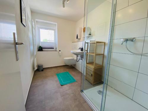 a bathroom with a glass shower and a toilet at Auszeit-Eifel „Eifelhorst“ in Willwerscheid