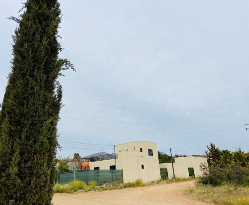 un árbol alto junto a un edificio con un camino de tierra en Villa Macrina en Valle de Guadalupe