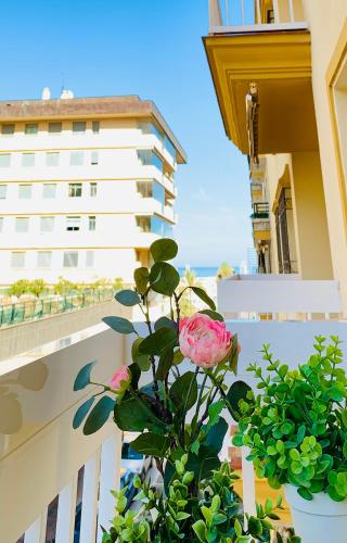 Solana Tulipanes Parking Pool Terrace