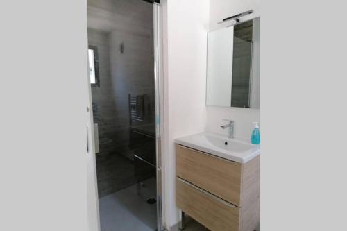 une salle de bain avec un lavabo, un miroir et une douche dans l'établissement Appartement type studio plain pied terrasse & plage, au Grau-dʼAgde