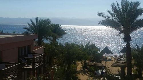 a view of the ocean from a resort with palm trees at Nakhil Inn Nuweiba in Nuweiba