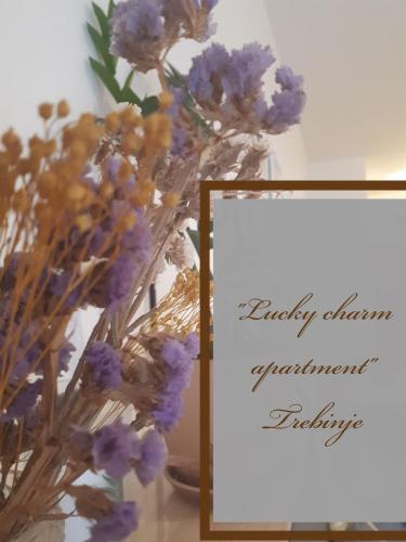 Lucky Charm studio apartment