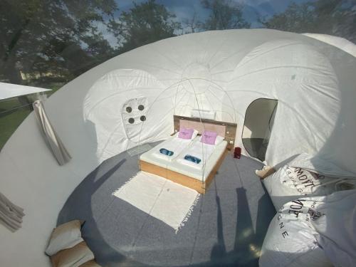 an overhead view of a boat in a tent at Bubble Tent Hotel in Weyregg