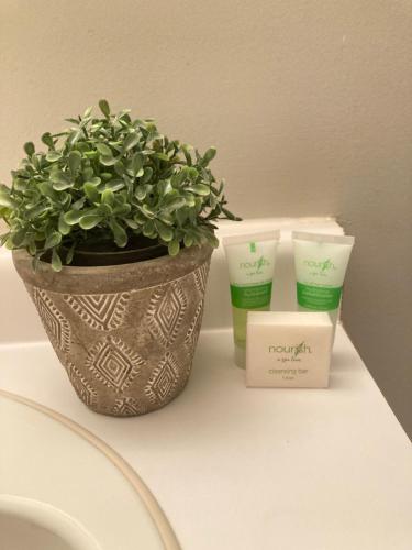 a potted plant and two candles on a counter at Blue Mountain Creekside Studio at North Creek Resort in Blue Mountains