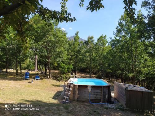une piscine avec une échelle à côté d'une maison et d'arbres dans l'établissement Chalet de Caralba Piscine, à Ghisoni