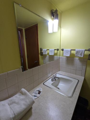 a bathroom with a sink and a large mirror at Great Plains Budget Inn in Lincoln