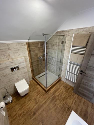 a bathroom with a glass shower and a toilet at Kukorica Csárda Apartman in Balatonújlak