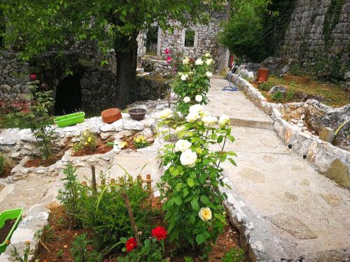a garden with white and red flowers and a building at centuries old Ethno House Đurović in Virpazar