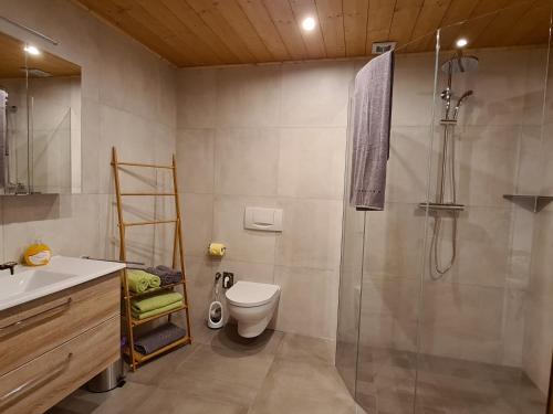 y baño con ducha, aseo y lavamanos. en Bacherhof, en Söll