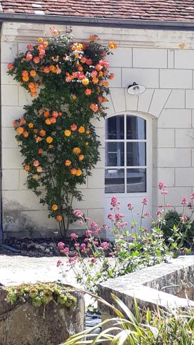 a bush of orange flowers on the side of a house at Le Gîte des Marguerites in Montrichard