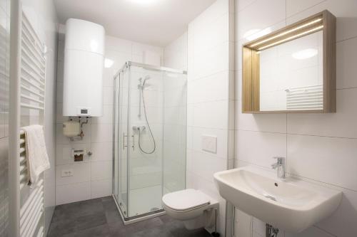 克拉尼斯卡戈拉Apartment Bistra Kranjska Gora的带水槽和淋浴的白色浴室