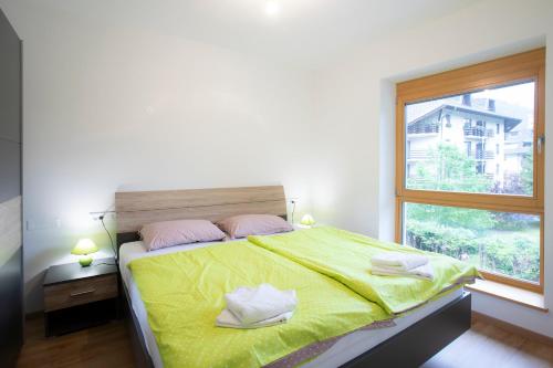 克拉尼斯卡戈拉Apartment Bistra Kranjska Gora的一间带大床的卧室，带窗户