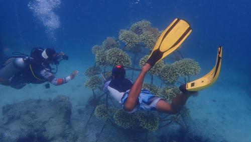 two people swimming in the ocean with a kayak at Sumberkima Hill Retreat in Pemuteran