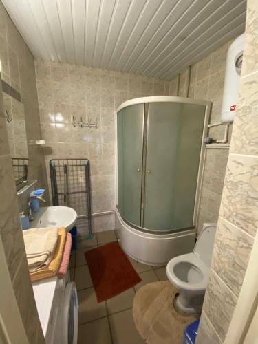 a bathroom with a shower and a toilet and a sink at Студия 20 м3 in Orlovka