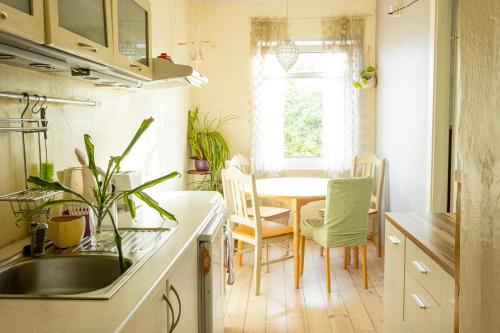 cocina con fregadero y mesa con sillas en Artists Apartment near Telliskivi Creative Centre, en Tallin