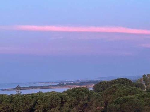 a view of a body of water with trees at VILLA VEGA in Fontane Bianche
