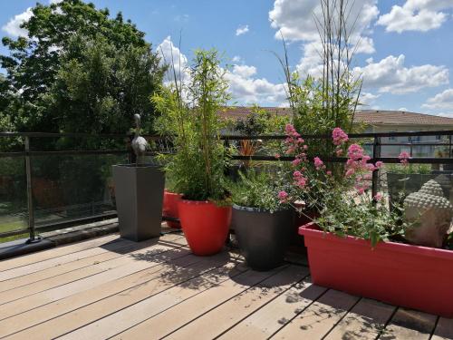 four pots of plants sitting on a deck at Appart-hôtel Chanzy / Angoulême in Angoulême