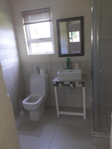 y baño con aseo, lavabo y espejo. en Biesiesvlei 2, en Plettenberg Bay