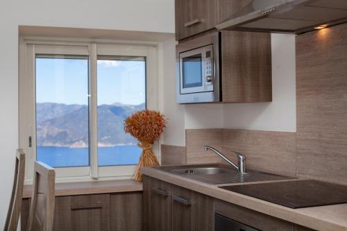a kitchen with a sink and a window with a view at Résidence de la Tour in Piana