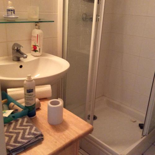 a bathroom with a shower and a sink and a shower at Martine in Fontainebleau