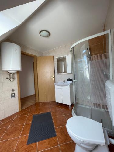 een badkamer met een toilet, een douche en een wastafel bij TM Apartments in Straß in Steiermark