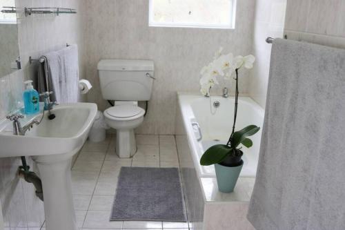 W łazience znajduje się toaleta, umywalka i wanna. w obiekcie Oceans End - a home on the beach w mieście Kini Bay