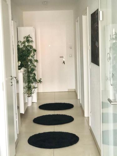 Gallery image of Seestern Apartment in Friedrichshafen