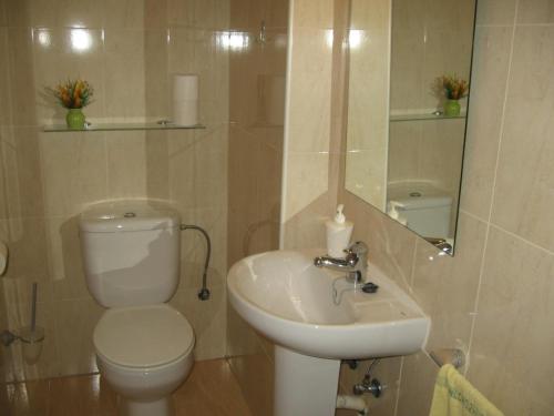 ein Badezimmer mit einem WC, einem Waschbecken und einem Spiegel in der Unterkunft Duplex junto a un Parque in Tortosa