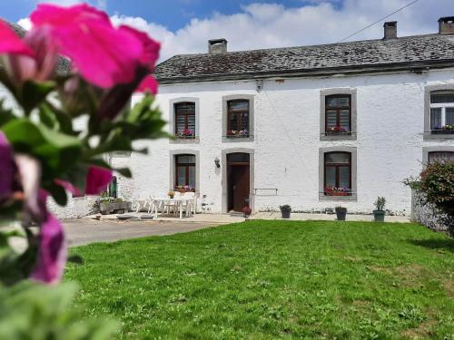 a white house with a yard with pink flowers at Le relais du cheval blanc in Tenneville