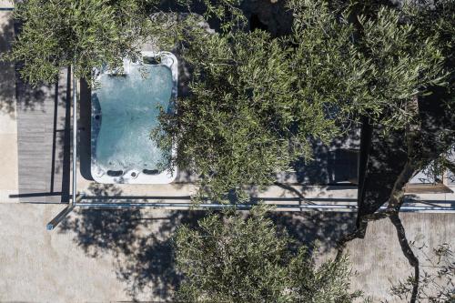 an overhead view of a swimming pool surrounded by trees at Villa Resperi in Gonia