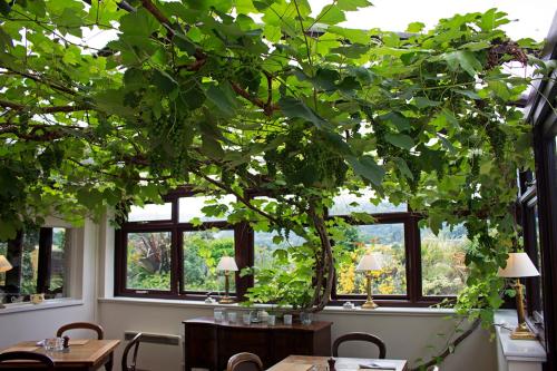 a room with tables and a tree in front of windows at The Groes Inn in Conwy