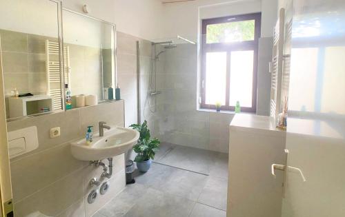 een witte badkamer met een wastafel en een spiegel bij Apartment Dora in Chemnitz