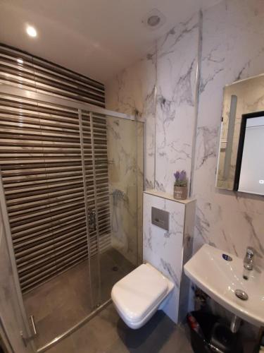 a bathroom with a shower and a toilet and a sink at Grand Agia Triada in Agia Triada