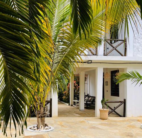 a palm tree in front of a building at Max Hotel Nungwi in Nungwi